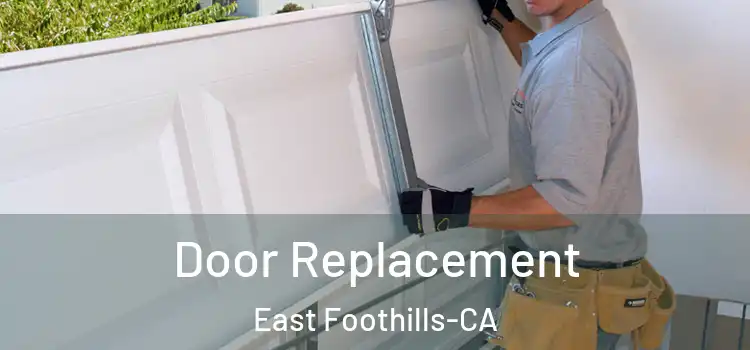  Door Replacement East Foothills-CA