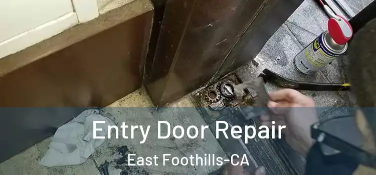  Entry Door Repair East Foothills-CA